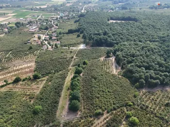 فروش مزرعه فندق در Sakarya ترکیه